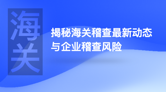 揭秘海关稽查最新动态与企业稽查风险